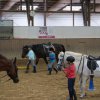 Ponyralley 029